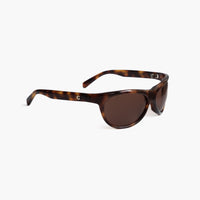 Lynne Tortoise Brown