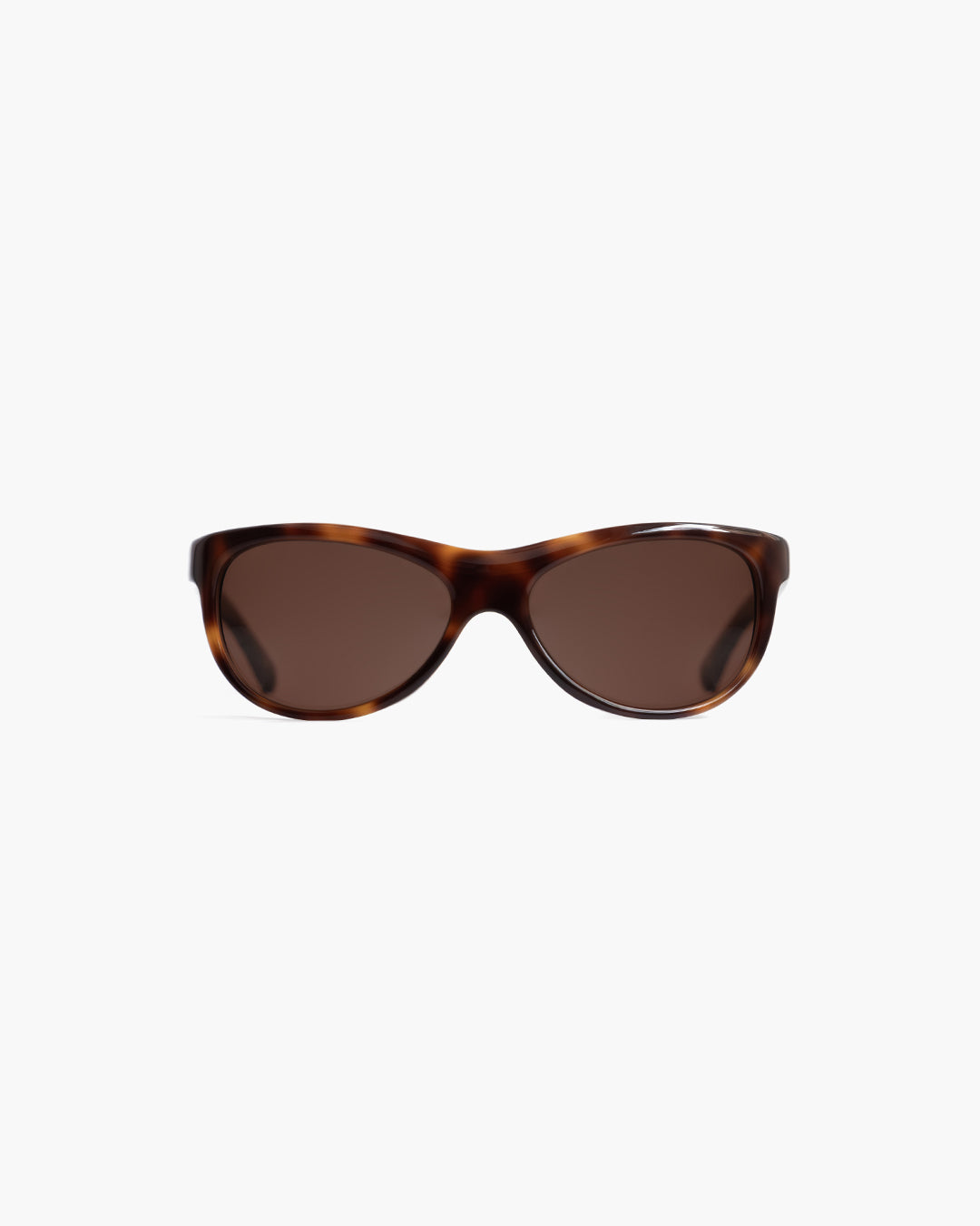 Lynne Tortoise Brown