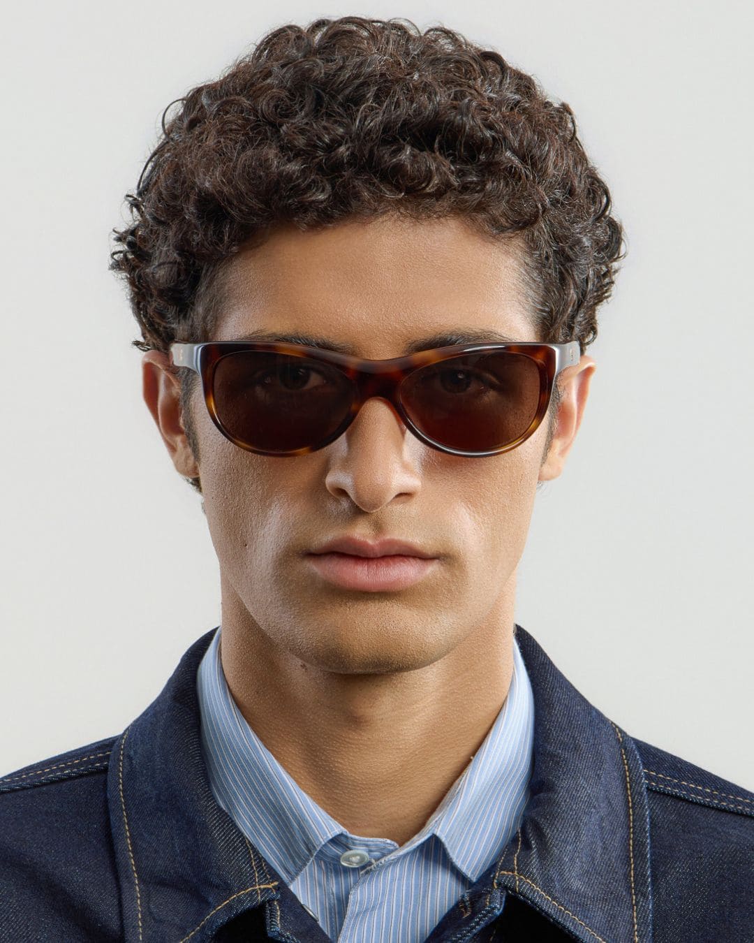 Lynne Tortoise Brown
