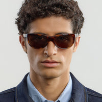 Lynne Tortoise Brown