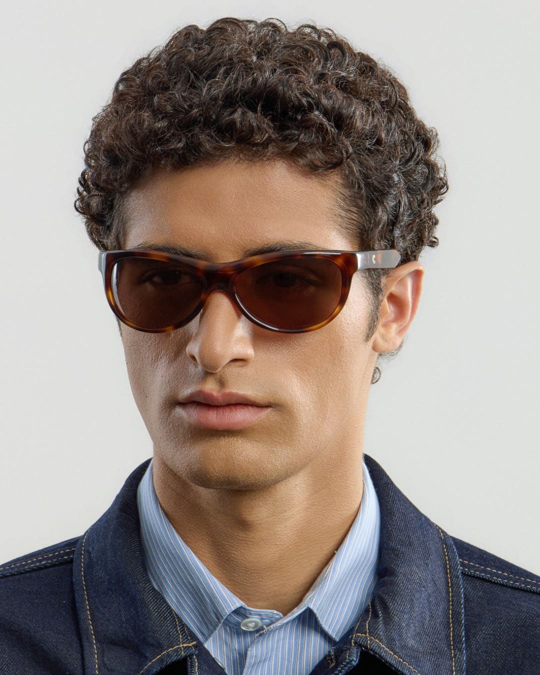 Lynne Tortoise Brown