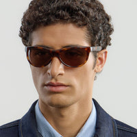 Lynne Tortoise Brown