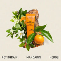 The Deodorant Balm SC.01 Orange Grove 10ml
